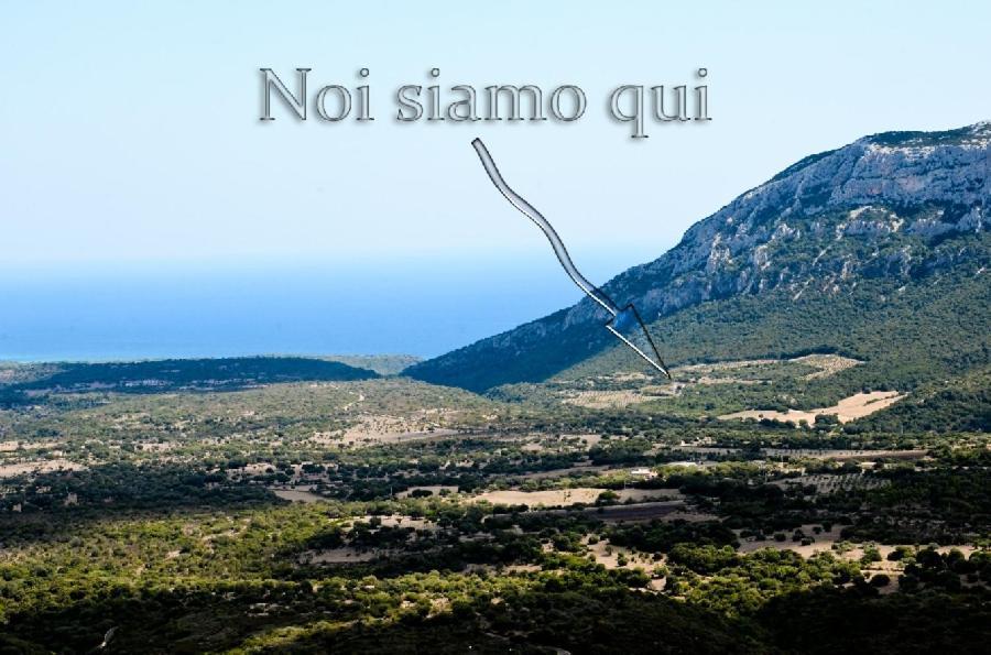 B&B Cala Cartoe Dorgali Exteriér fotografie